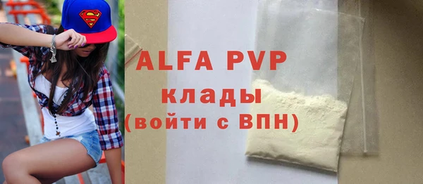 стаф Алзамай