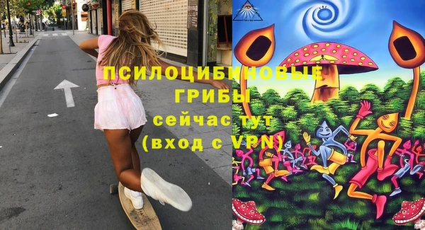 стаф Алзамай