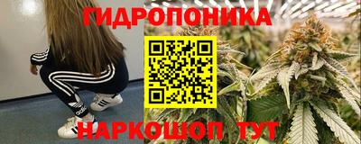прущие грибы Тулун