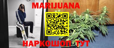 spice Тара
