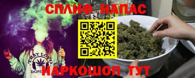 spice Тара