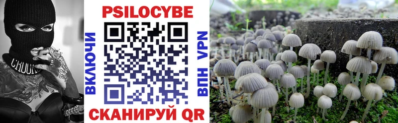 купить закладку Урай Галлюциногенные грибы прущие грибы