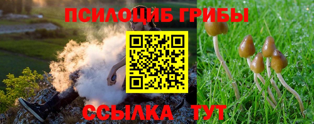 Урай  Псилоцибиновые грибы мухоморы  Галлюциногенные грибы Psilocybe  Вход с VPN 